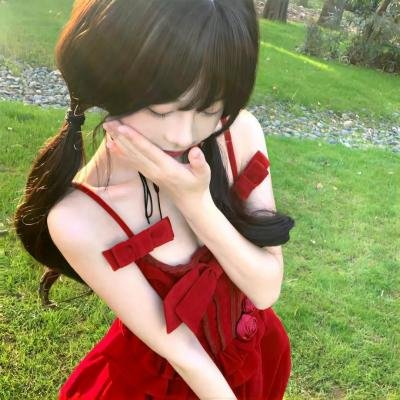 鸽之翼